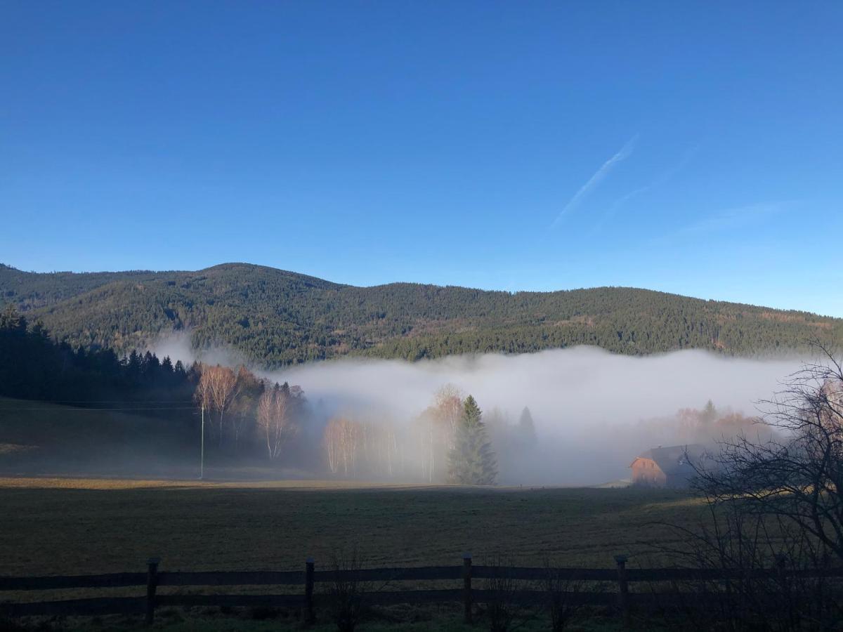 Chata Jezevec Hojsova Stráž Exterior foto