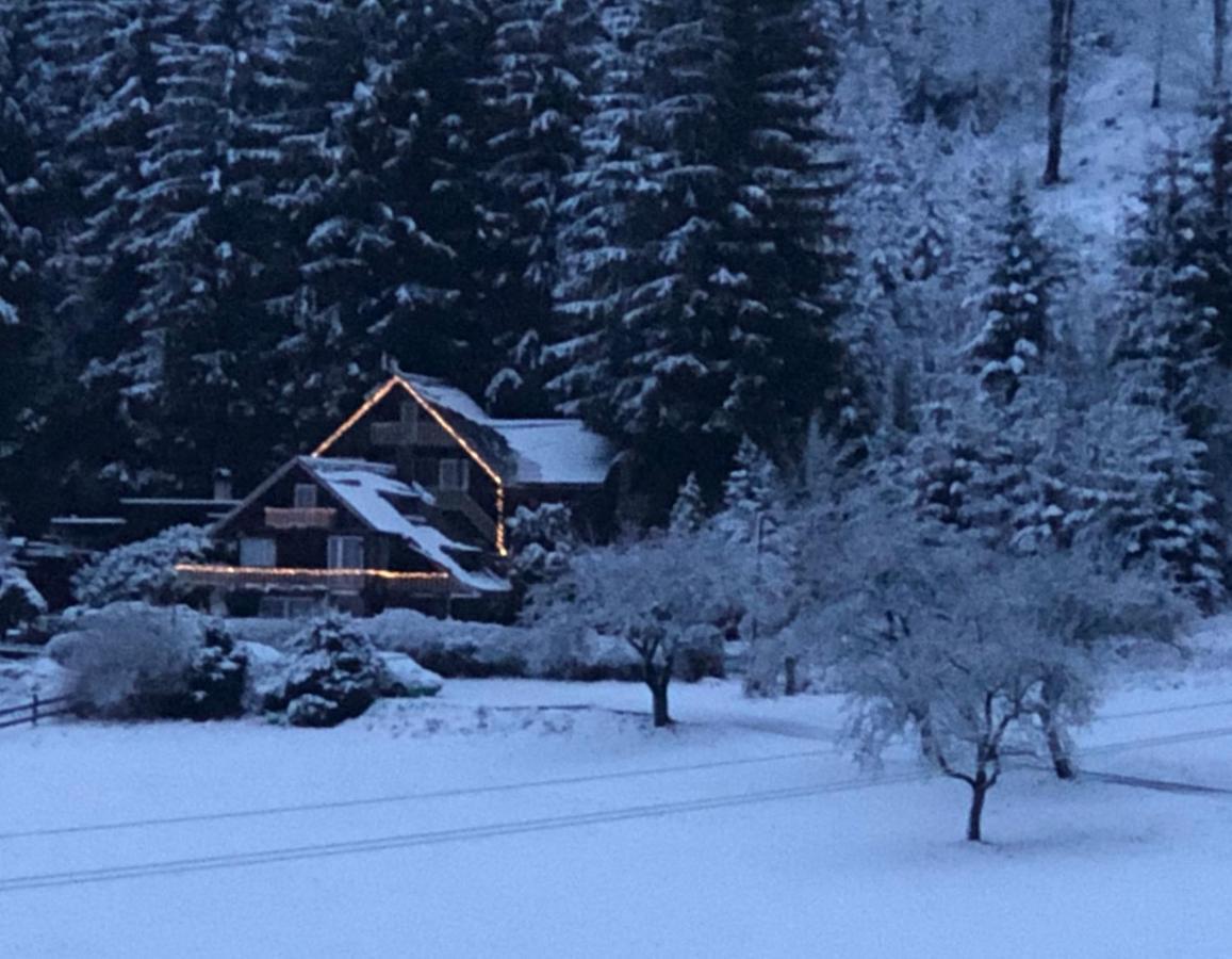Chata Jezevec Hojsova Stráž Exterior foto